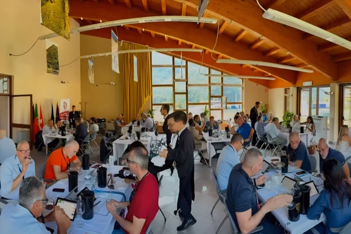 I vini sono stati valutati da 55 giurati