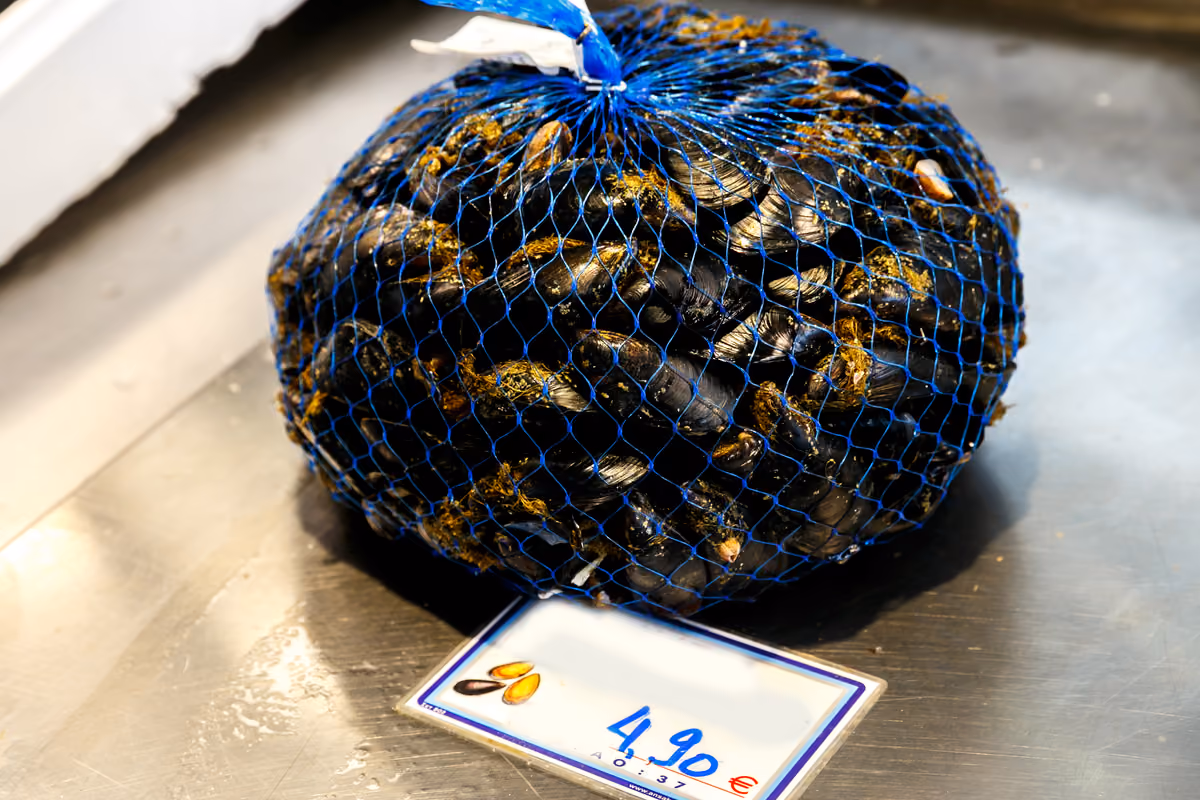 Prima della cottura il ristoratore deve verificare che le cozze siano vive, integre e correttamente identificate attraverso la documentazione di tracciabilità