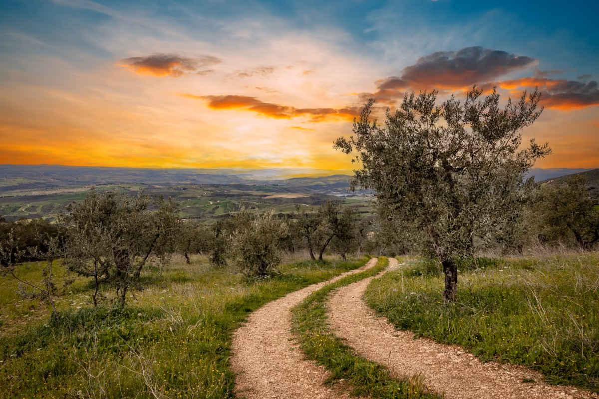 Ad Amelia torna il festival che racconta olio, vino e prodotti locali del territorio