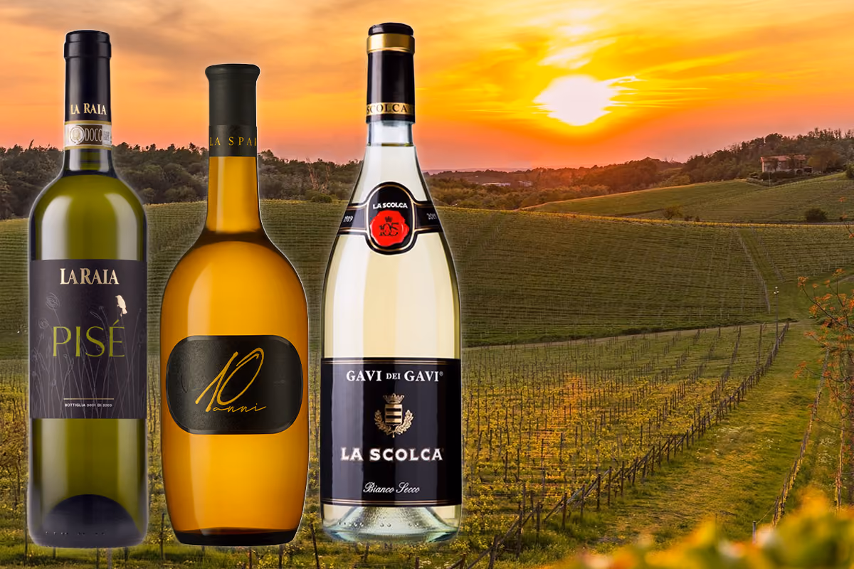 L'Italia del Vino: tre Gavi Docg per scoprire la grandezza del Cortese