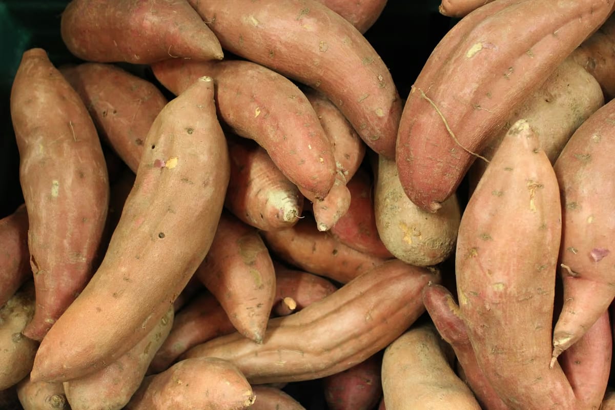 Patate americane: proprietà, benefici per la salute e come usarle in cucina