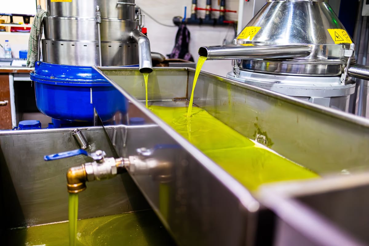 Olio tunisino, export oltre 380mila tonnellate: Italia e Spagna tra i primi mercati