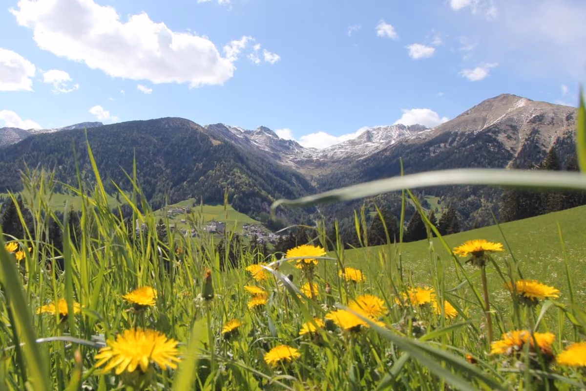 Il paesaggio dell'Alta Val di Non