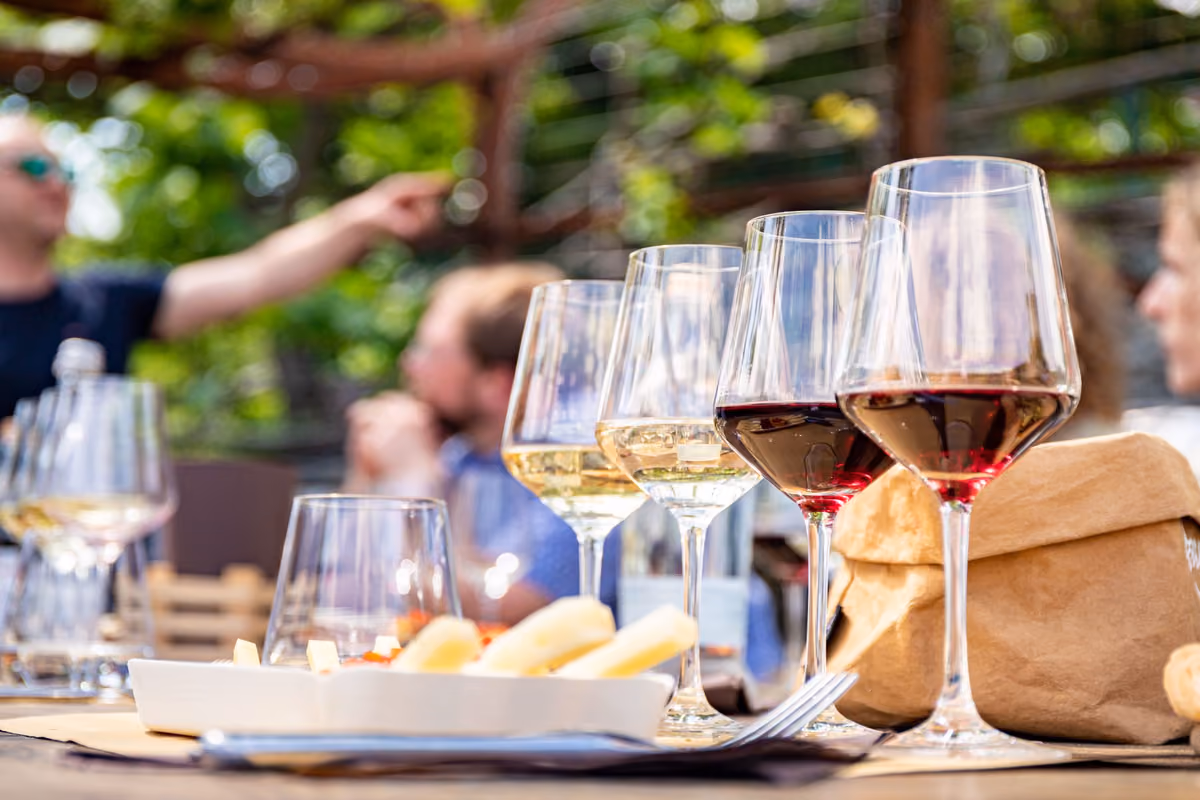 Tra il lago di Como e la Brianza c'è una piccola denominazione del vino da scoprire
