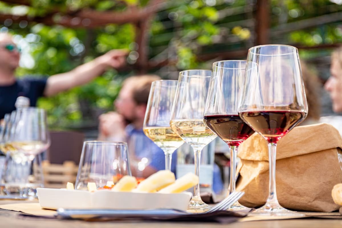 Tra il lago di Como e la Brianza c'è una piccola denominazione del vino da scoprire