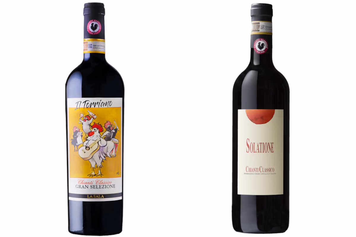 Il Chianti Classico Gran Selezione Il Torriano e