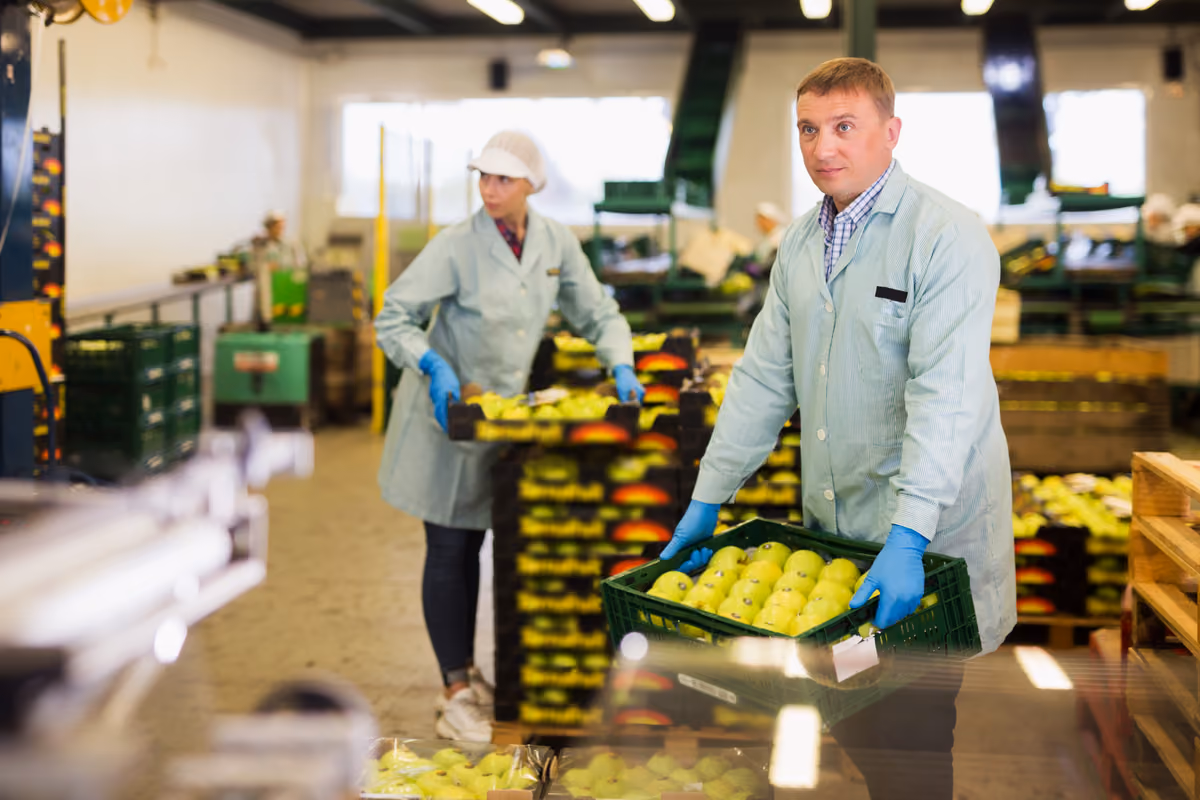 La Grande Ristorazione si confronta con un mercato sempre più europeo, dove dimensione, organizzazione ed economie di scala diventano fattori competitivi