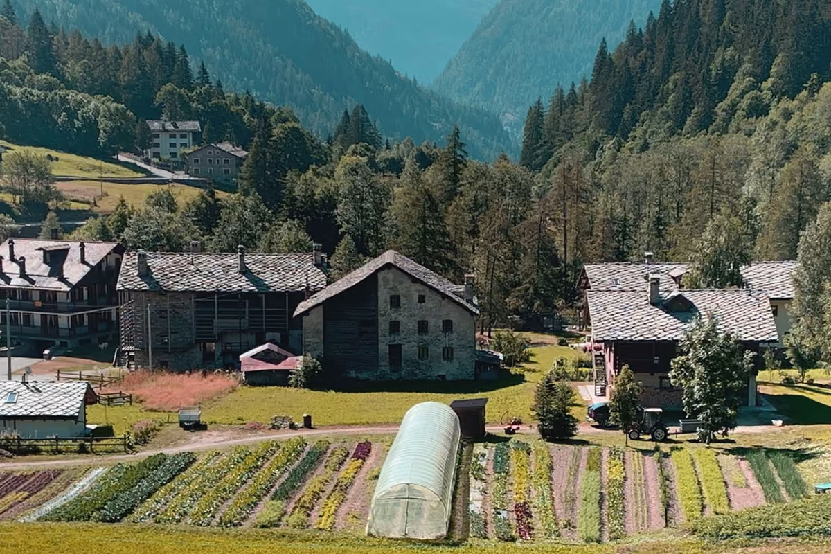 Il Walser Garten, l'orto della famiglia curato da Umberto Brunero,