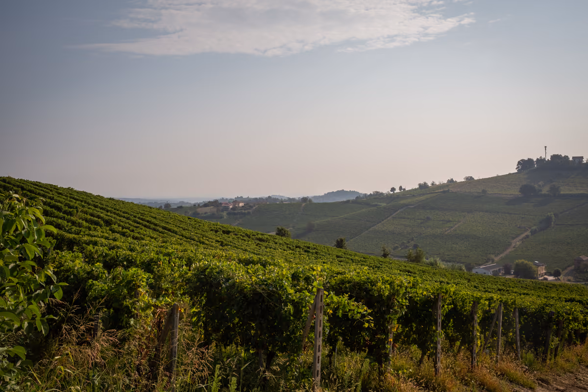 Le colline dell'Asti