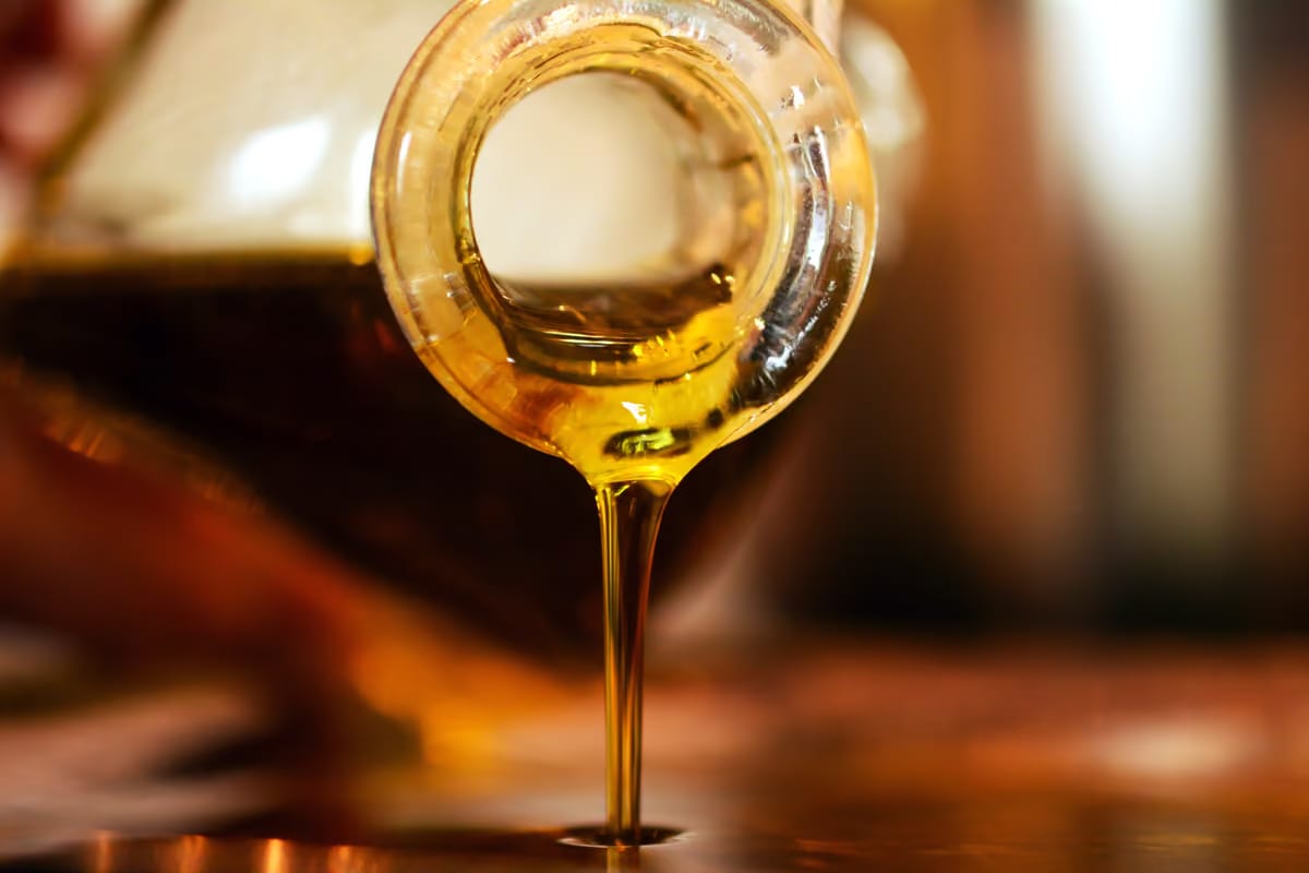 L'Olio dei Colli di Bologna è Igp: arriva il riconoscimento europeo