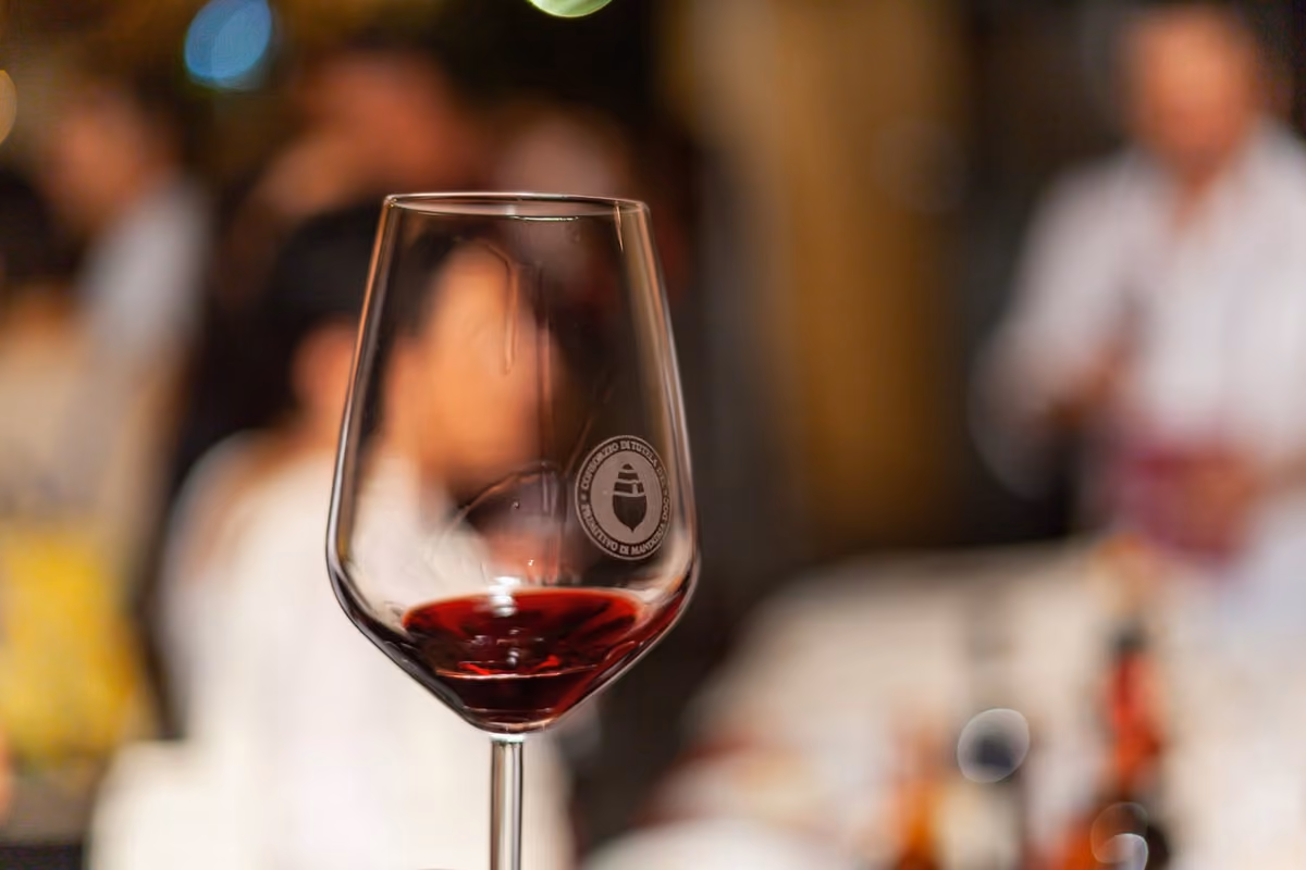 Primitivo di Manduria, la vendemmia chiude bene ma resta il nodo del valore delle uve