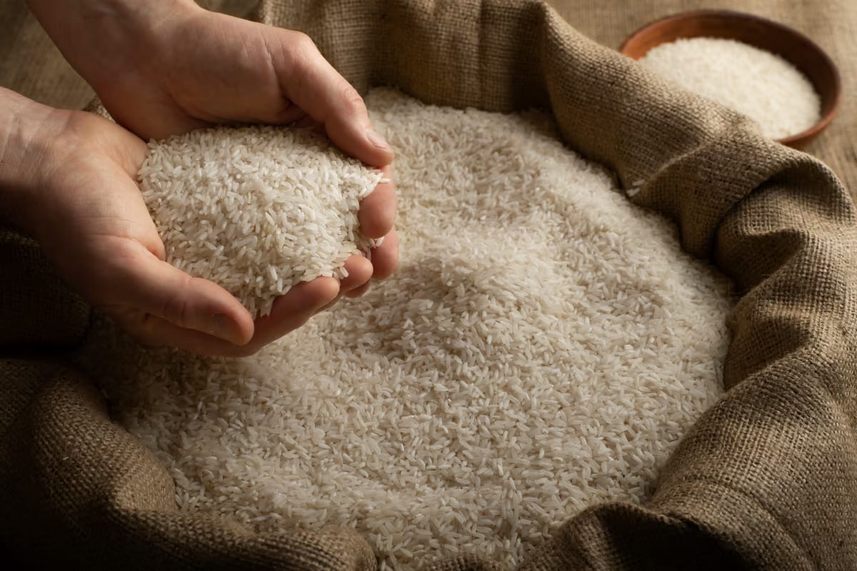 Frode sul riso biologico, nel Pavese sequestri per oltre 10 milioni di euro