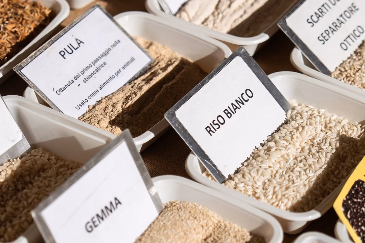 Dal Basmati al riso nero: perché la varietà conta nella dieta