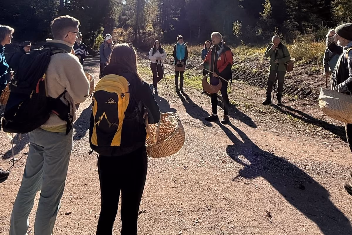 Dal bosco al piatto, passando per la psicologia: il viaggio dei funghi in Val di Fiemme