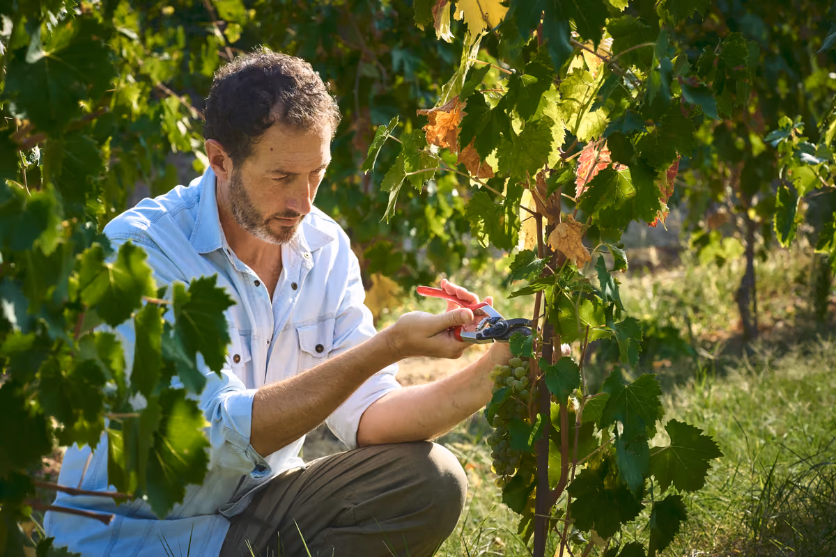 L'agronomo Adriano Zago