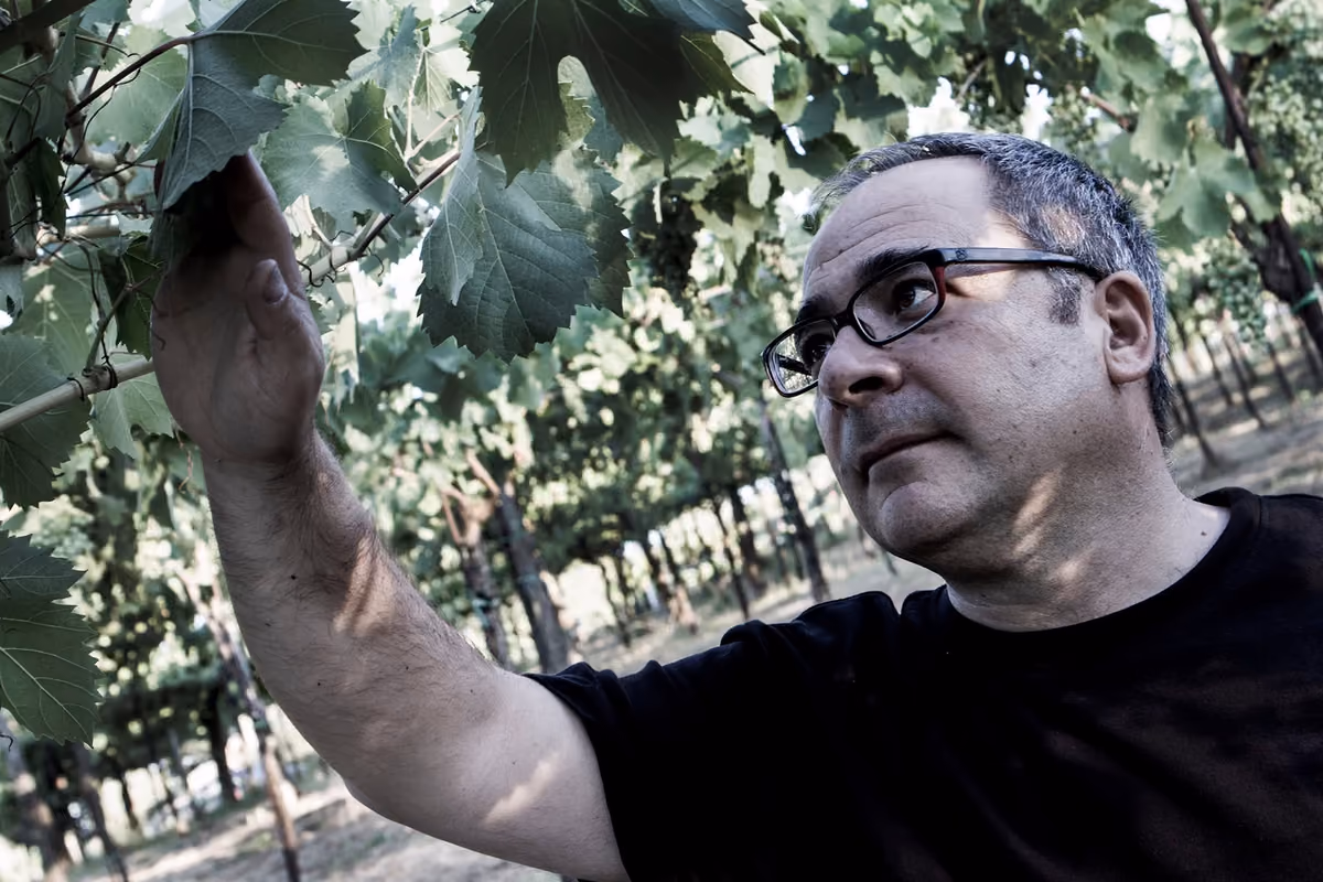 Giovanni Ascione di Centopassi