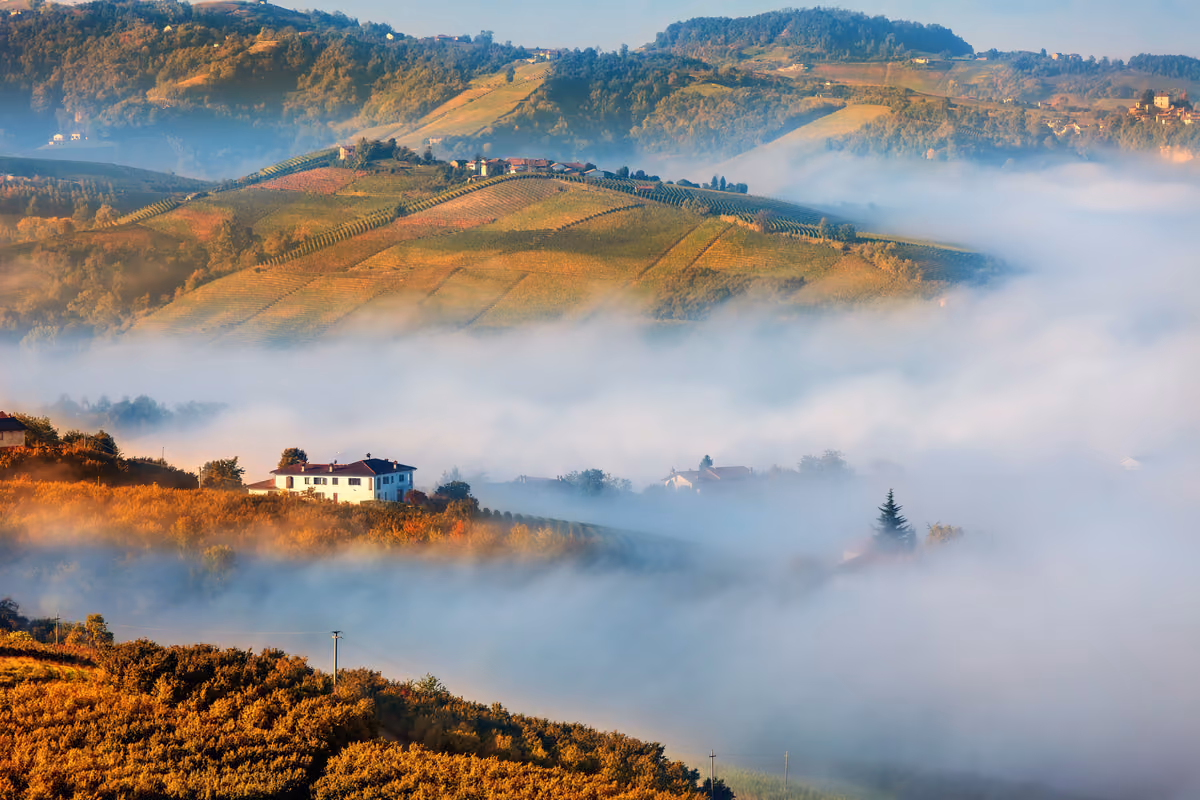 Il Tartufo Bianco d’Alba oltre la Fiera: eventi, ristoranti e hotel da scoprire