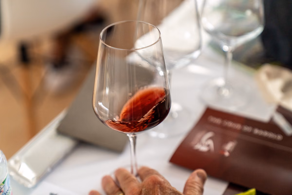 Il Tartufo Bianco d’Alba oltre la Fiera: eventi, ristoranti e hotel da scoprire