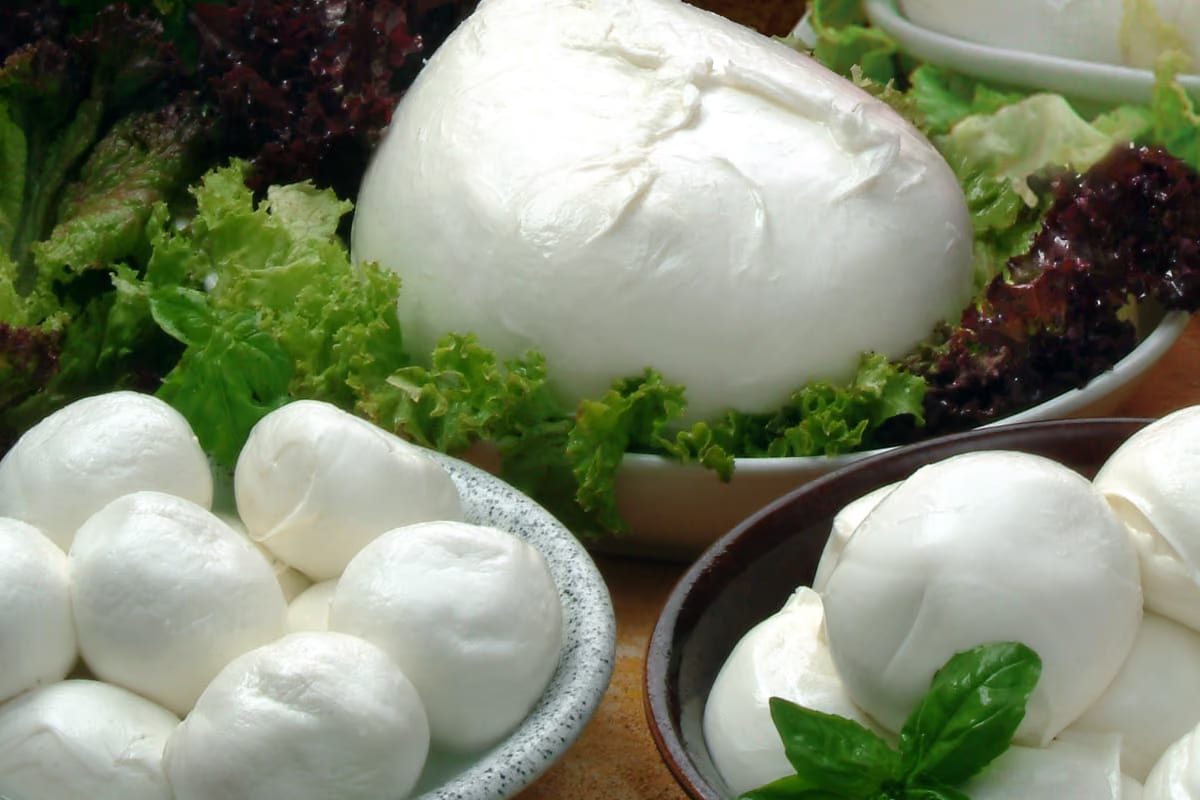Mozzarella di Bufala Campana Dop, produzione ferma per lo sciopero dei trasporti