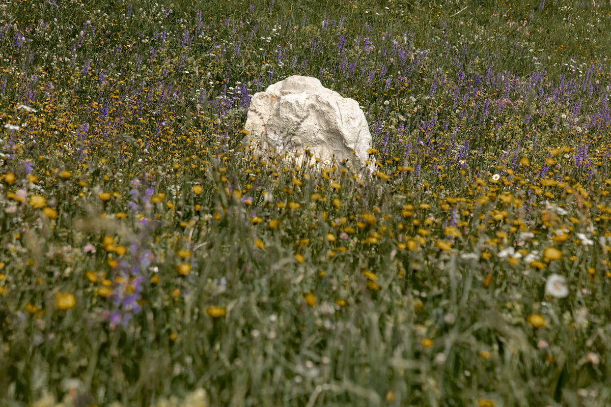 Terminus di Stefano Cagol. Una scultura in pietra, un pezzo di Dolomiti che "ritorna" alla sua origine, circondata dalla biodiversità dei prati alpini