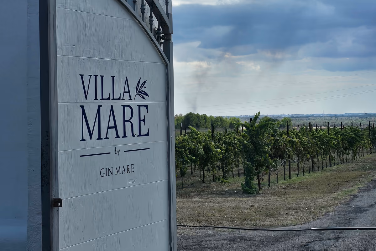 Alla scoperta del Mediterraneo più autentico in una masseria tra pizzica, gin e mare