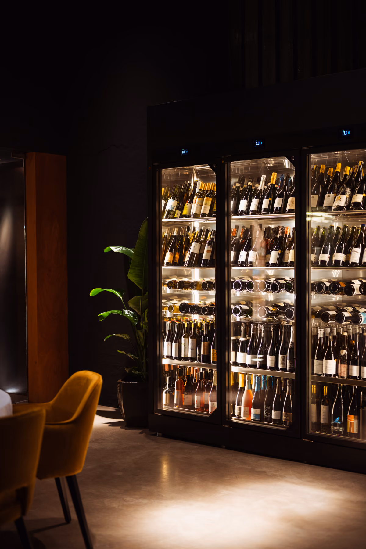 La notevole vetrina di vini, molto ricercati, particolari e di piccoli produttori, del Nosh by Ribelle