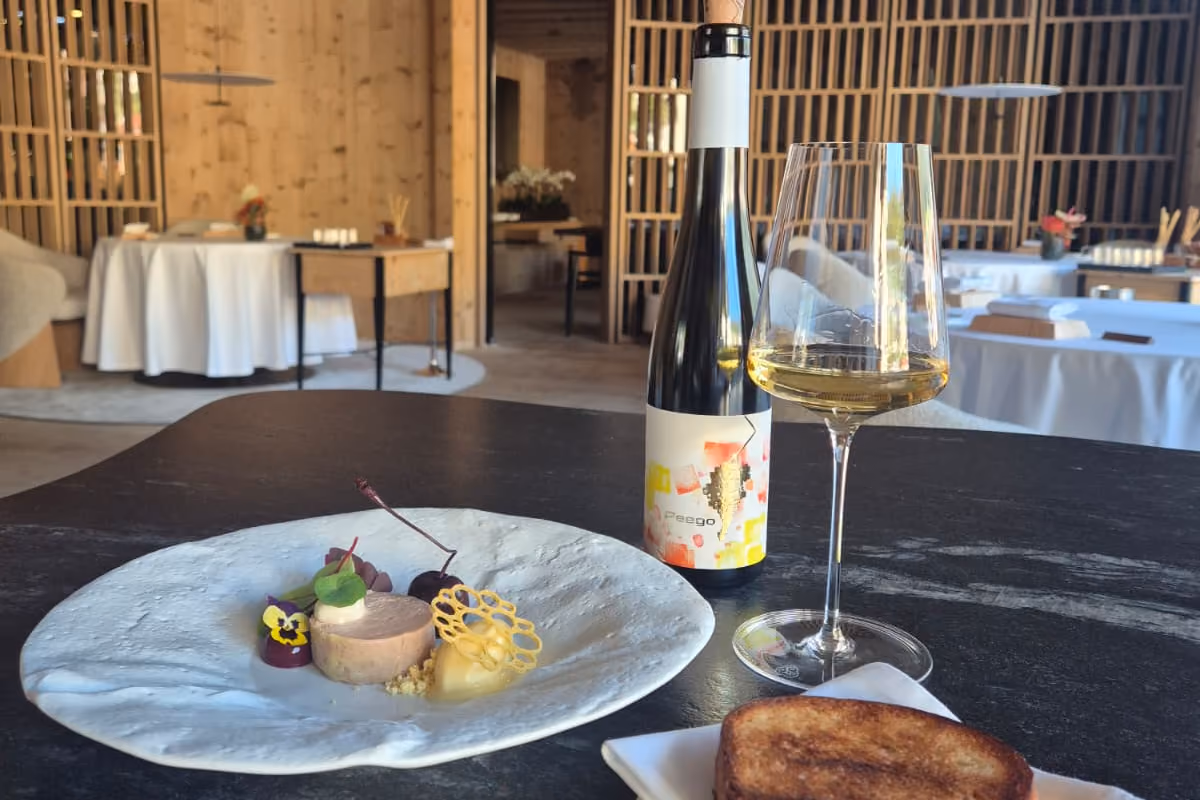 Piatto gourmet con vino Peego e pane tostato su un tavolo da ristorante
