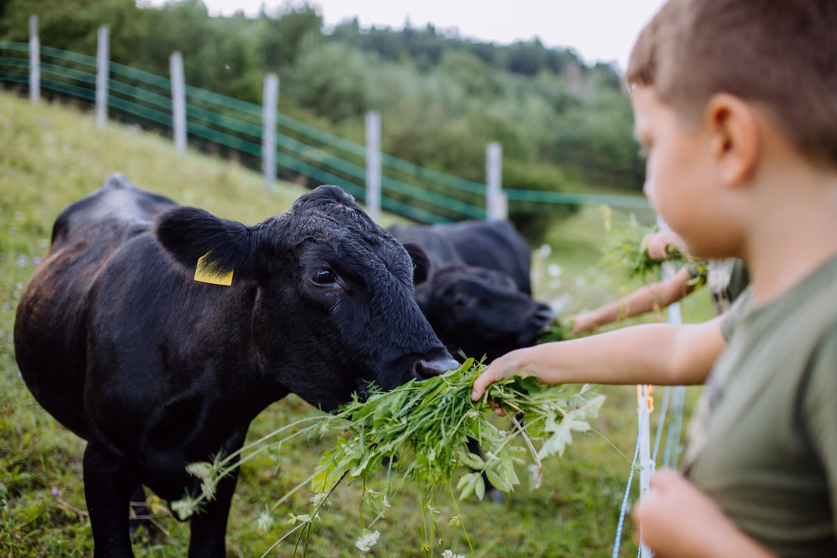 Una domenica in fattoria: 52 aziende lombarde aprono le porte a grandi e piccoli