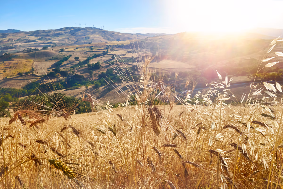 sicilia