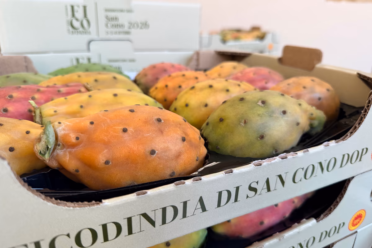 San Cono, il paese siciliano del ficodindia festeggia 40 anni di Sagra