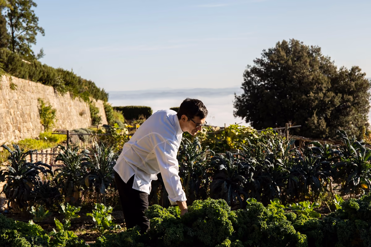 Chef Matteo Temperini impegnato nel suo orto