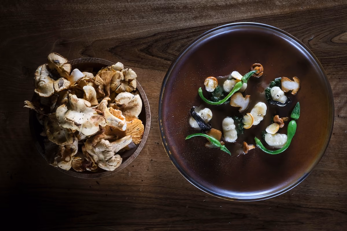 Non solo porcini: gli chef scelgono i funghi più sorprendenti dell’autunno