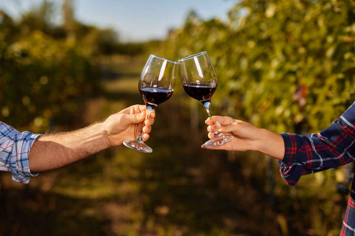 Il vino diventa destinazione: nuovi fondi per far crescere l'enoturismo italiano