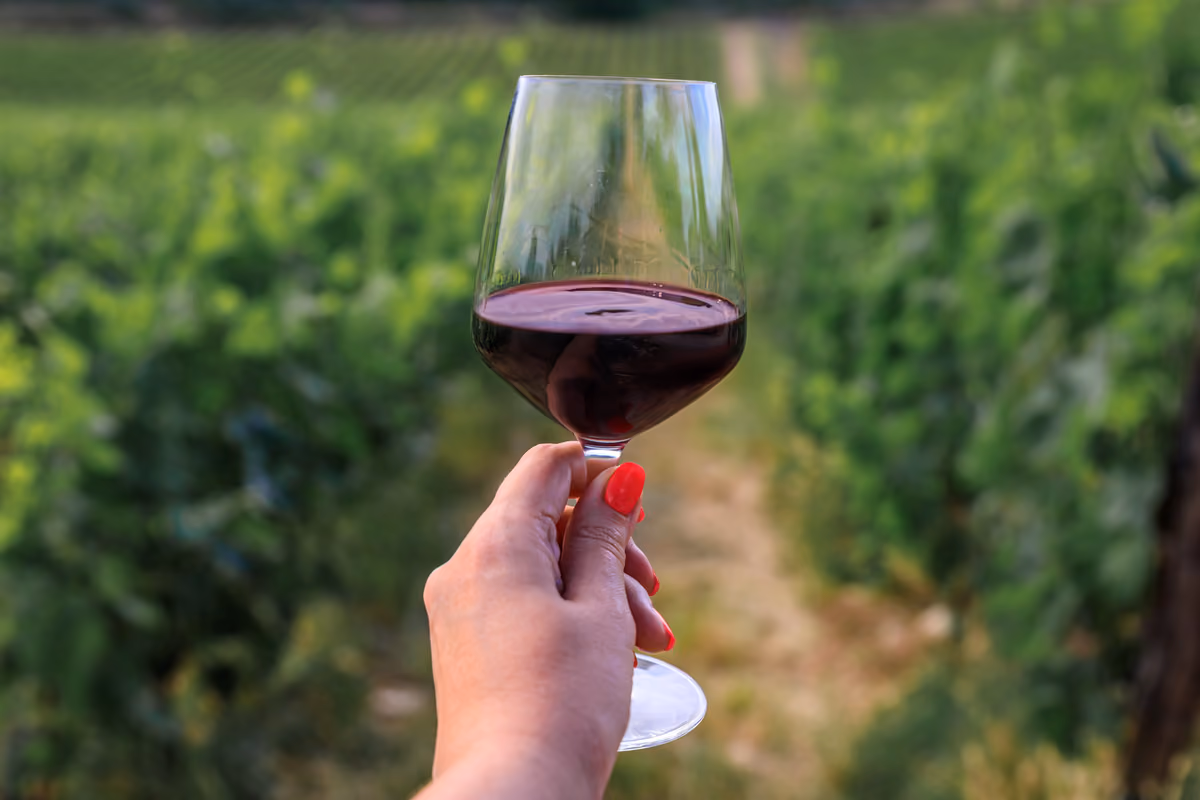 Il vino diventa destinazione: nuovi fondi per far crescere l'enoturismo italiano