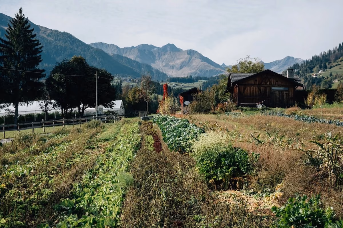 Quanto sono davvero bio ristoranti e hotel? In Alto Adige lo stabiliscono tre livelli