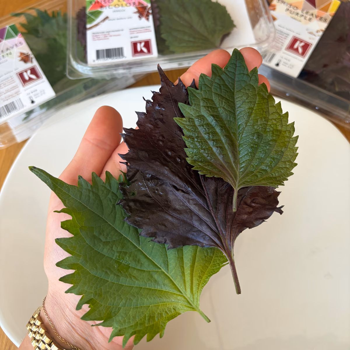 Shiso verde e viola, unisce le caratteristiche organolettiche di entrambe le varianti