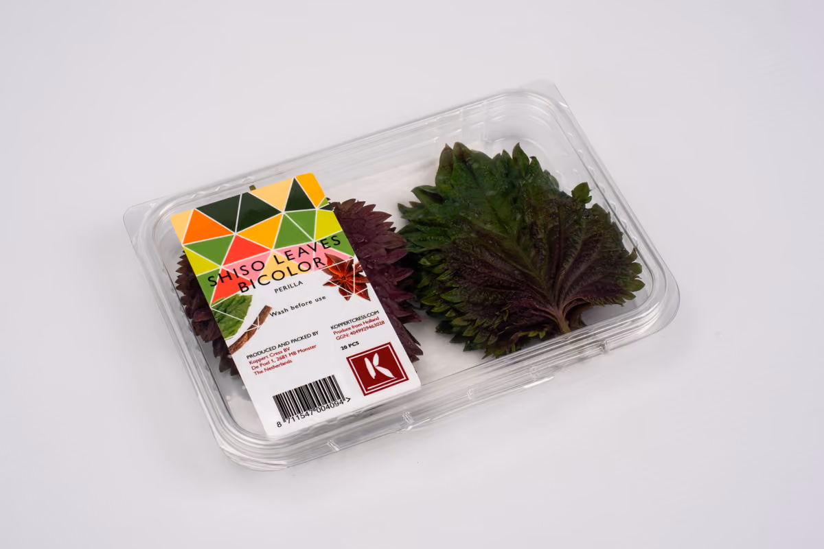 Shiso Leaves Bicolor proposto da Koppert Cress