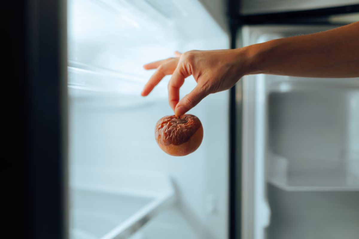 L'Italia spreca meno cibo: -11% in un anno, ma il conto supera i 6,5 miliardi