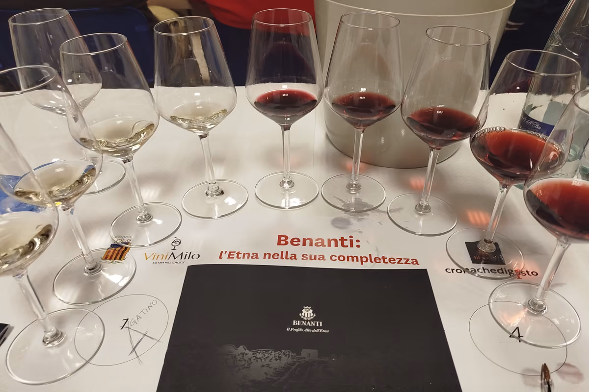 Dalle uve vendute sfuse ai vini di territorio: la svolta del vino dell’Etna