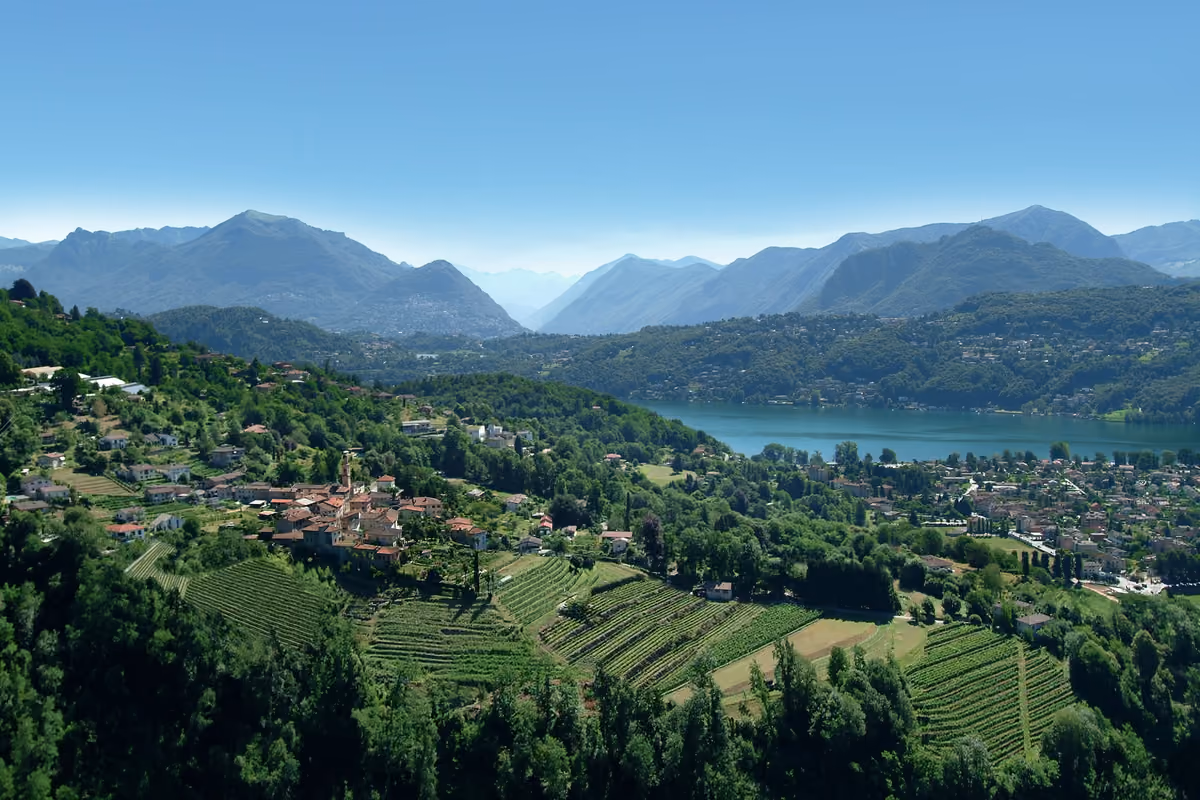 Il Ticino gode di un microclima unico per il Merlot