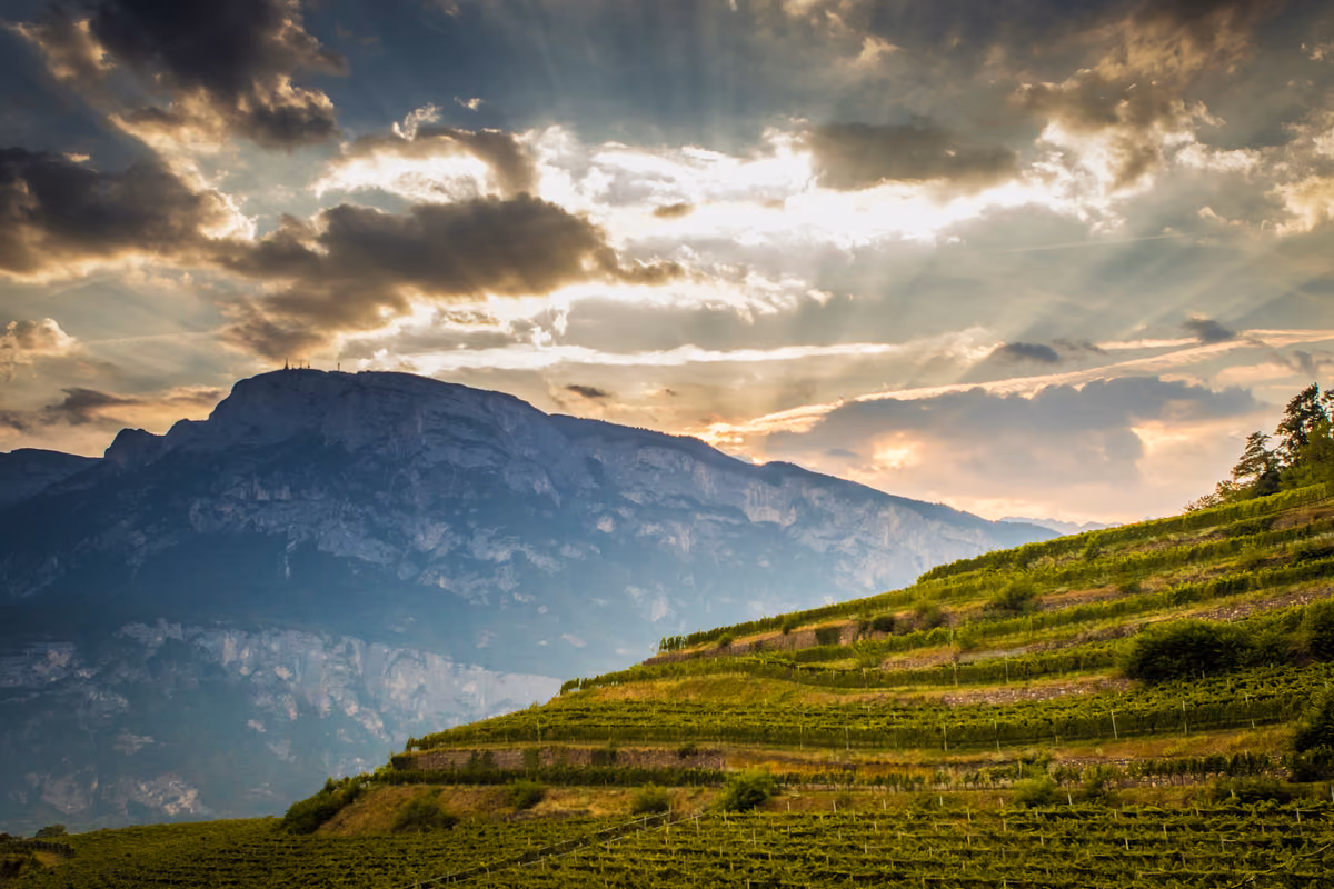 I vigneti di montagna di Ferrari Trento