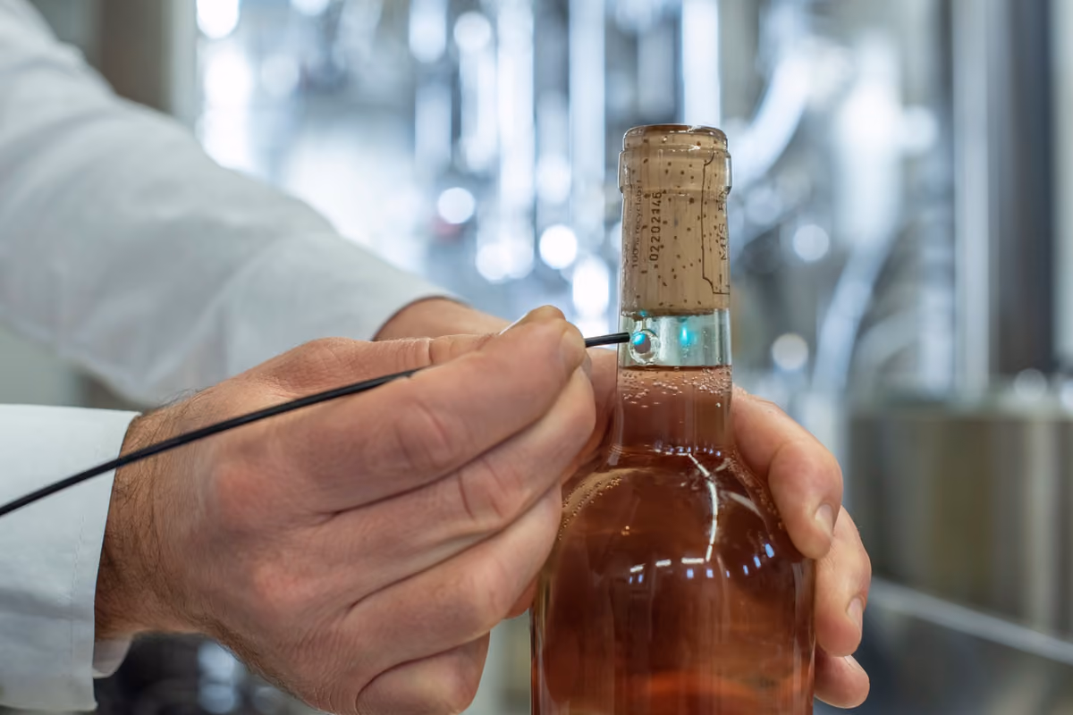 Vendemmia 2026, maturazione accelerata: la cantina si affida sempre più ai dati