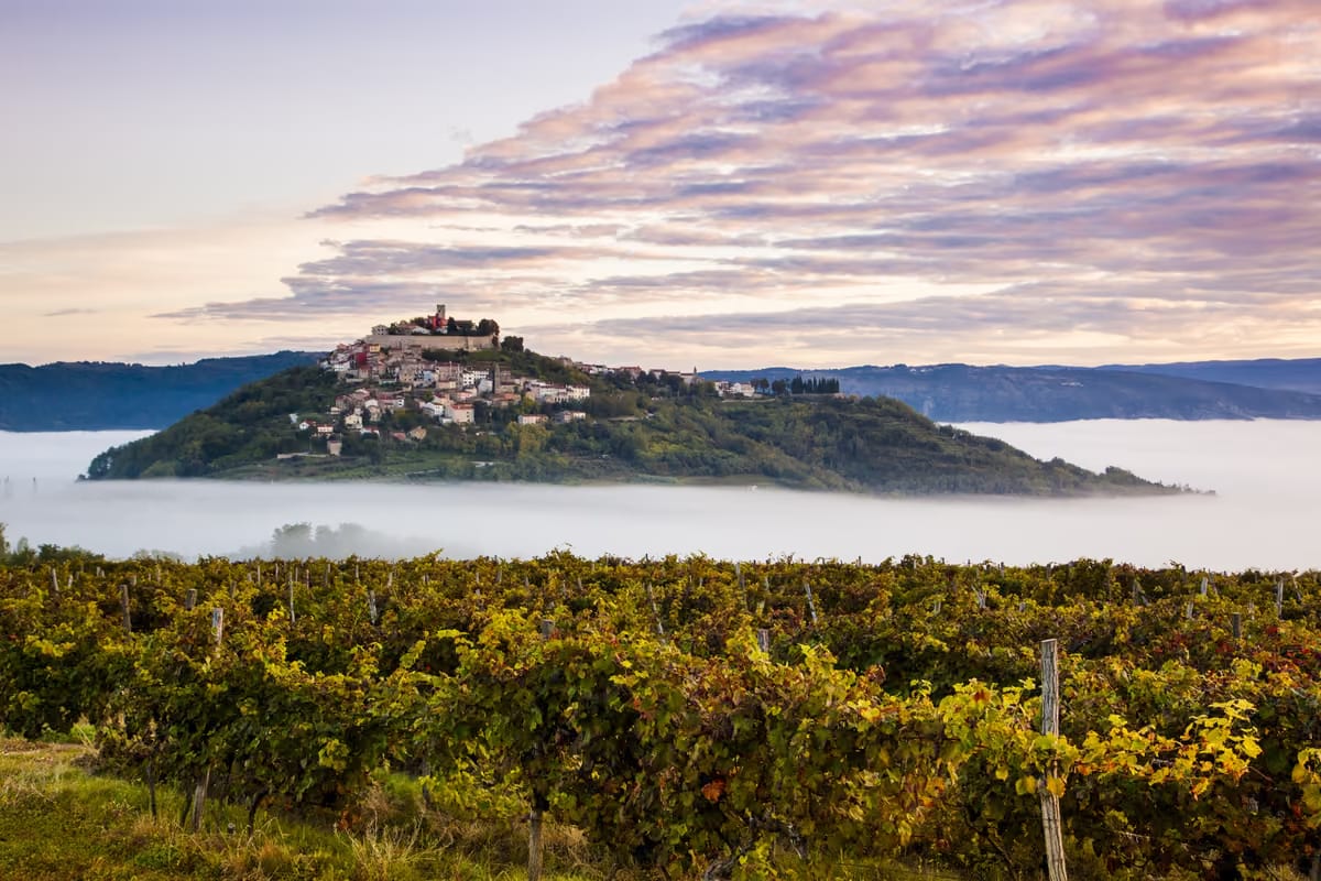 L’Istria oltre il mare: in autunno è meta per gli amanti del tartufo