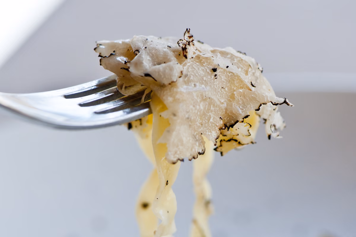 Primi piatti di pasta fresca serviti con generose lamelle di tartufo