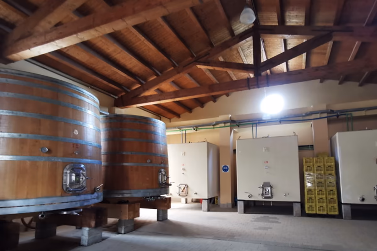 La cantina di Abbazia Sant'Anastasia