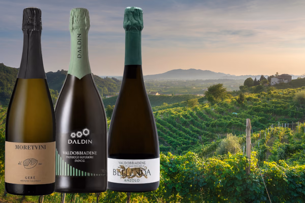 Tre bottiglie di Prosecco Moretvini, Daldin e Bellenda davanti a un vigneto veneto