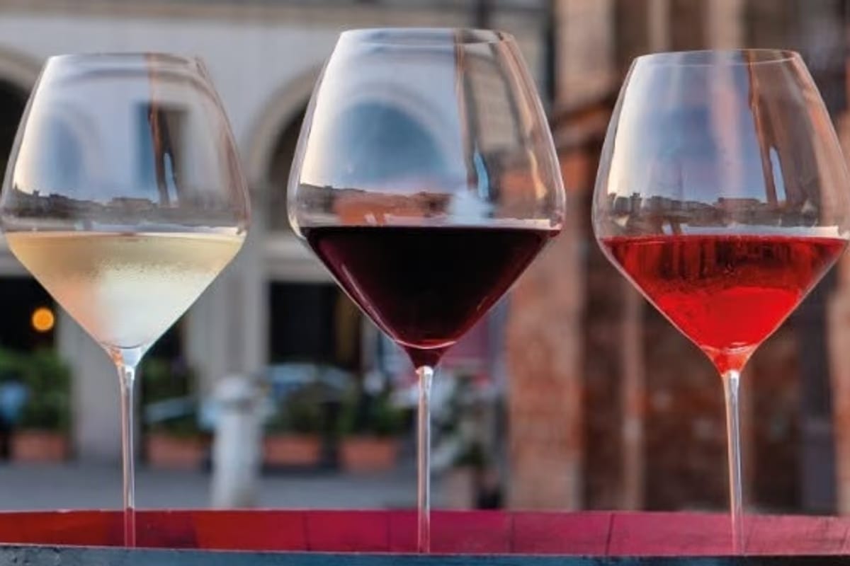 Pinot Noir, da Voghera alla Nuova Zelanda: il viaggio tra 99 etichette internazionali