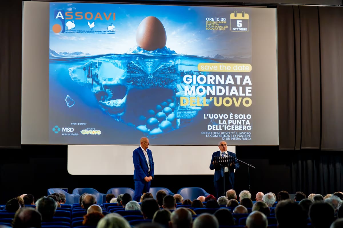 In Italia si producono 34 milioni di uova al giorno e la filiera vale 3,7 miliardi di euro