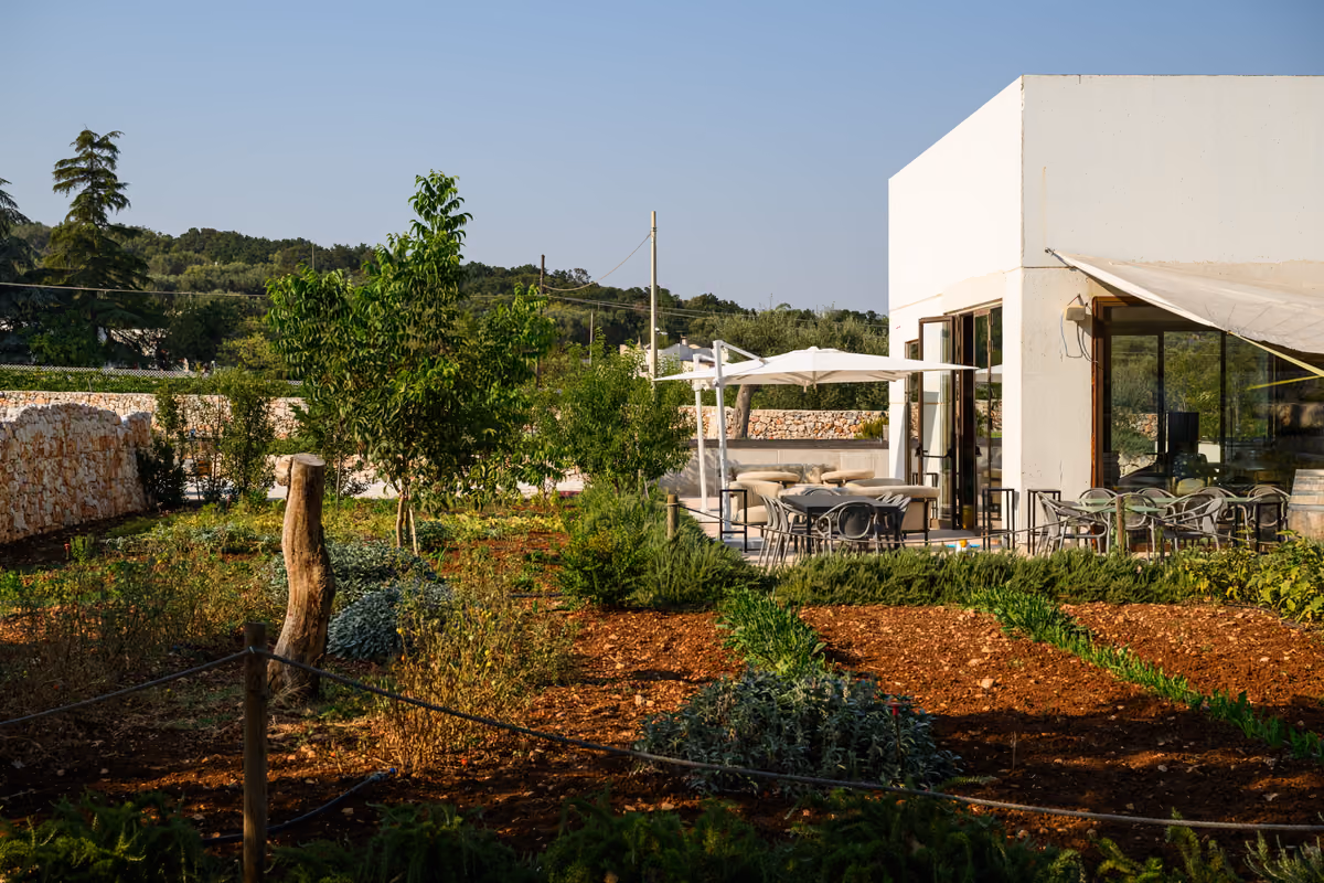 Cantina Amalberga, tra Ostuni e Cisternino, nel brindisino