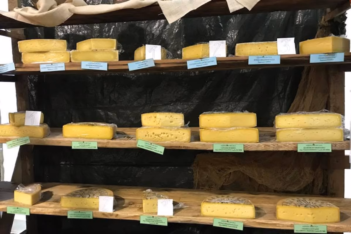 Scaffale in legno con varie forme di formaggio etichettate in un negozio